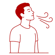Improves Breathing